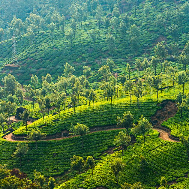 Kerala Backwaters Tour